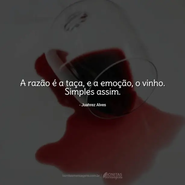 A razão é a taça, e a emoção, o vinho. Simples assim.